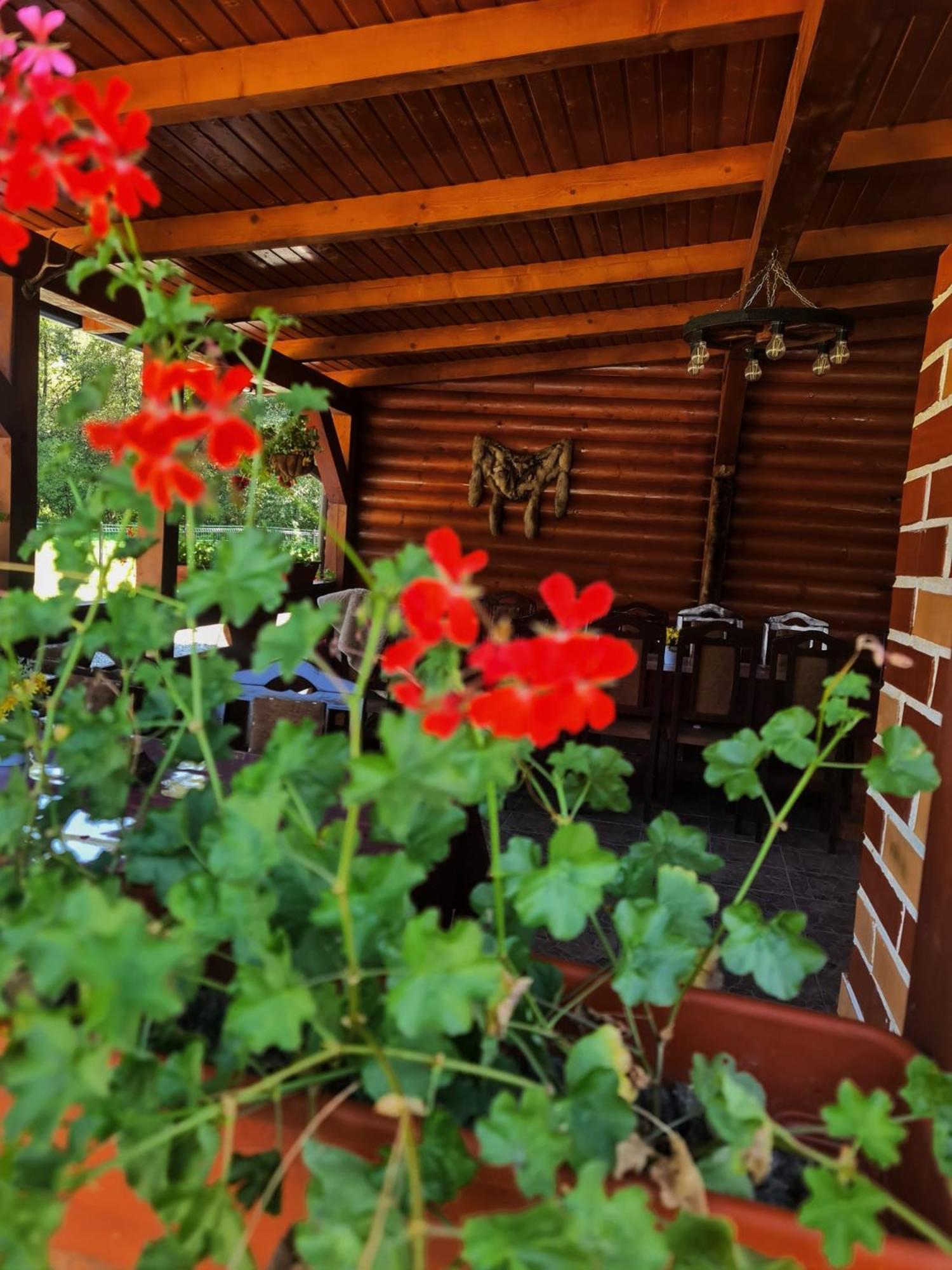 Cabana Dintre Munti Vidra  Екстер'єр фото